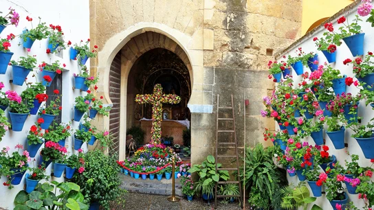 Cruces de Mayo de Córdoba Cruces de Mayo de Córdoba