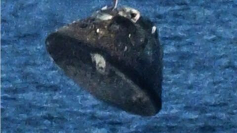 La nave Orion amerizando en el Océano Pacífico