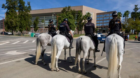 La Polic&iacute;a frena una pelea entre m&aacute;s de un centenar de ultras de Atl&eacute;tico y Real Sociedad en Sevilla