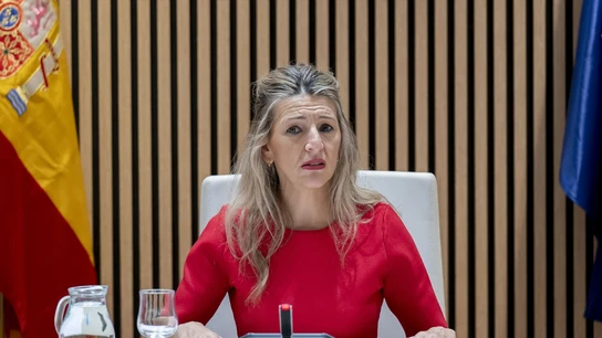 La vicepresidenta segunda y ministra de Trabajo y Economía Social, Yolanda Díaz. La vicepresidenta segunda y ministra de Trabajo y Economía Social, Yolanda Díaz.