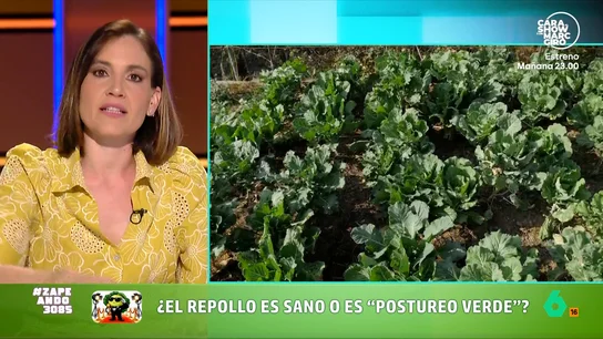 Boticaria García detalla todos los beneficios del repollo, "el nuevo rey healthy" Esta verdura se ha puesto de moda gracias a las numerosas recetas que se comparten a través de las redes sociales. Descubre todos los beneficios que aporta incorporar el repollo a la dieta en el vídeo principal.