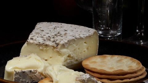 Queso Brie