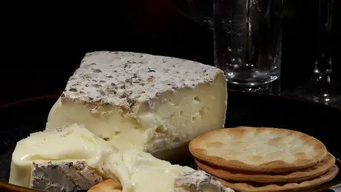 Queso Brie Queso Brie