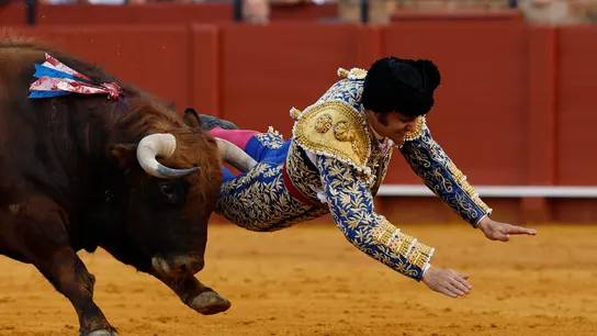 El diestro Morante de la Puebla sufre una cogida. El diestro Morante de la Puebla sufre una cogida.