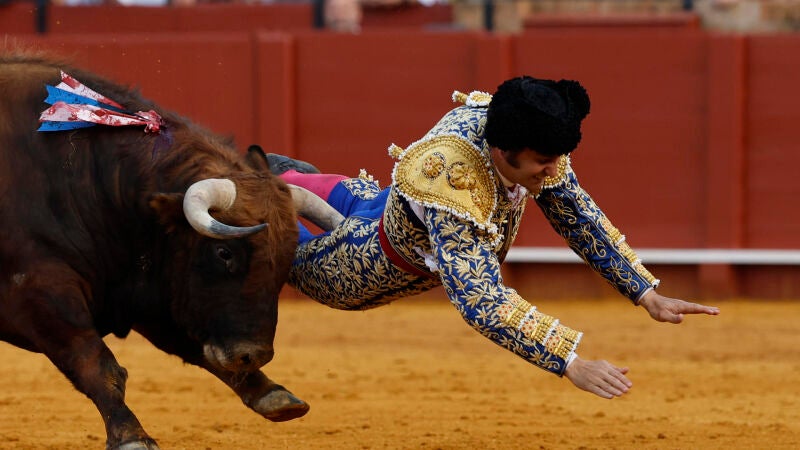  El diestro Morante de la Puebla sufre una cogida.