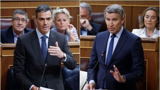 Pedro S&aacute;nchez y Alberto N&uacute;&ntilde;ez Feij&oacute;o, durante la sesi&oacute;n de control al Gobierno en el Congreso de los Diputados