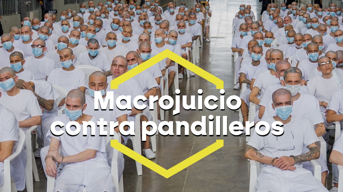 El Salvador celebra el megajuicio contra casi 500 miembros de la mara Salvatrucha acusados de 47.000 delitos