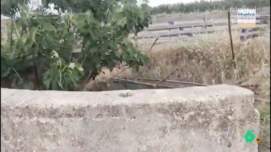 Así se produjo el hallazgo de los cadáveres de Samuel Vizcaya y Manuel Bellido: en el pozo de una finca a las afueras de Cartaya 48 horas después del hallazgo del coche calcinado de Samuel Vizcaya, la policía ya tiene un primer testigo: José Antonio Morillo. Este se iba a encontrar con Manuel Bellido, 'El Sevillano', en Cartaya.