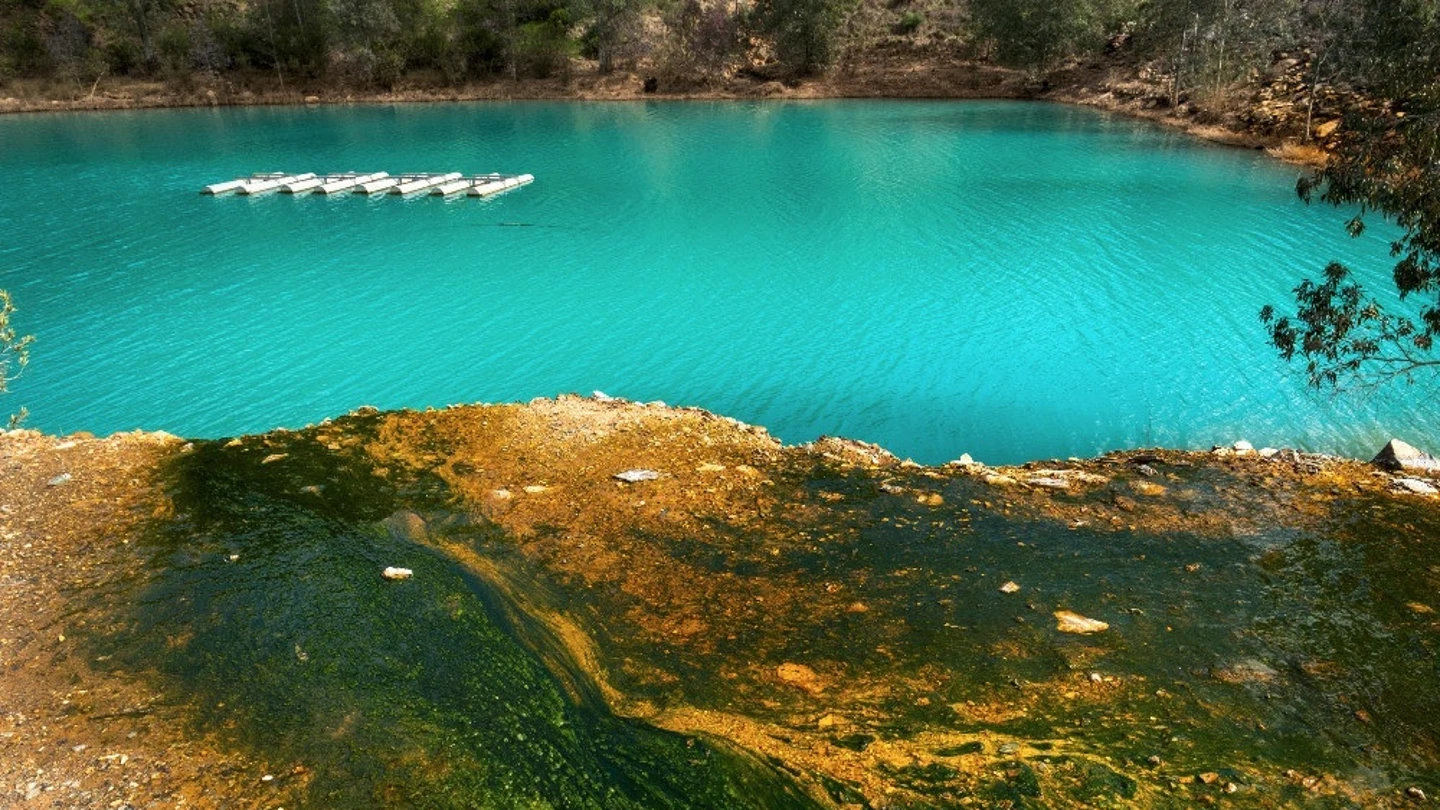 Greenpeace advierte de la contaminación en Aznalcóllar Greenpeace advierte de la contaminación en Aznalcóllar