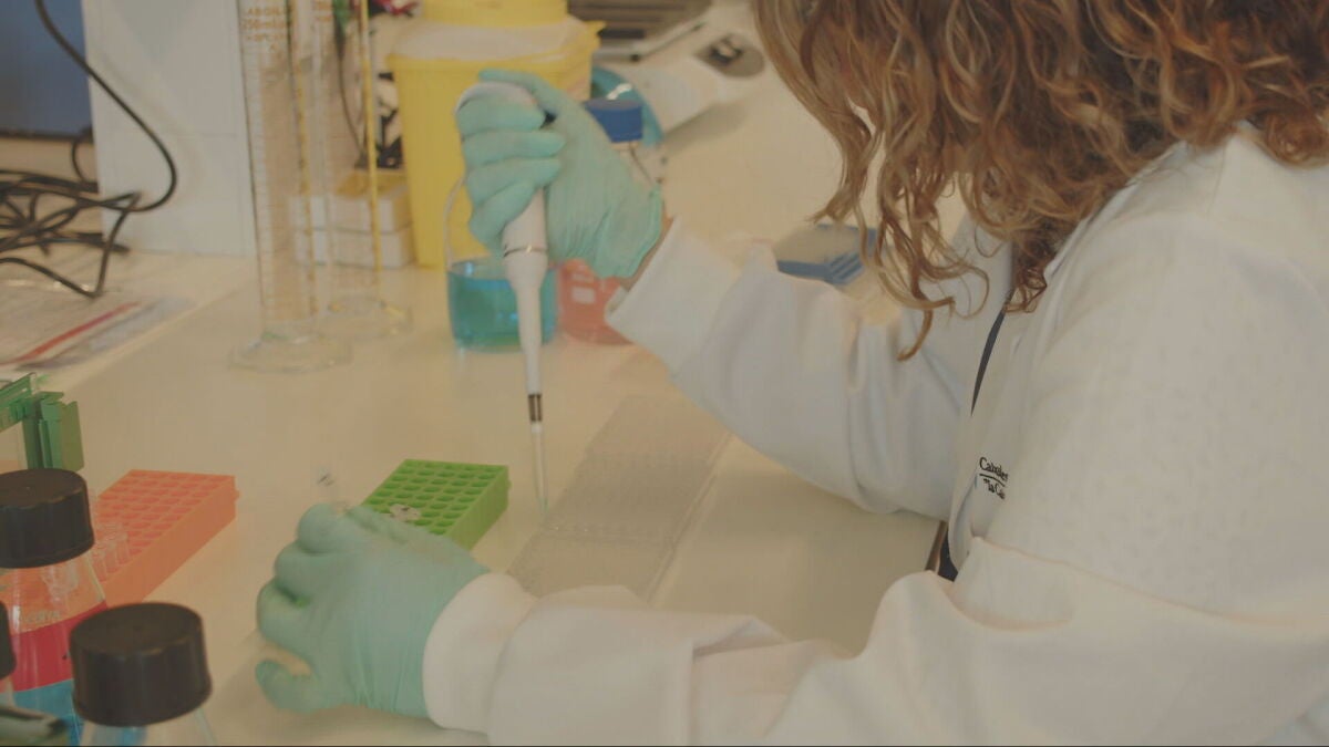 Más de 400 científicos trabajarán en el primer centro especializado en inmunología en España para tratar de combatir enfermedades dominantes