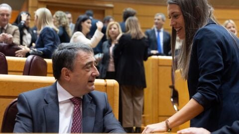 El portavoz del PNV en el Congreso, Aitor Esteban y la portavoz de Junts en el Congreso, Miriam Nogueras