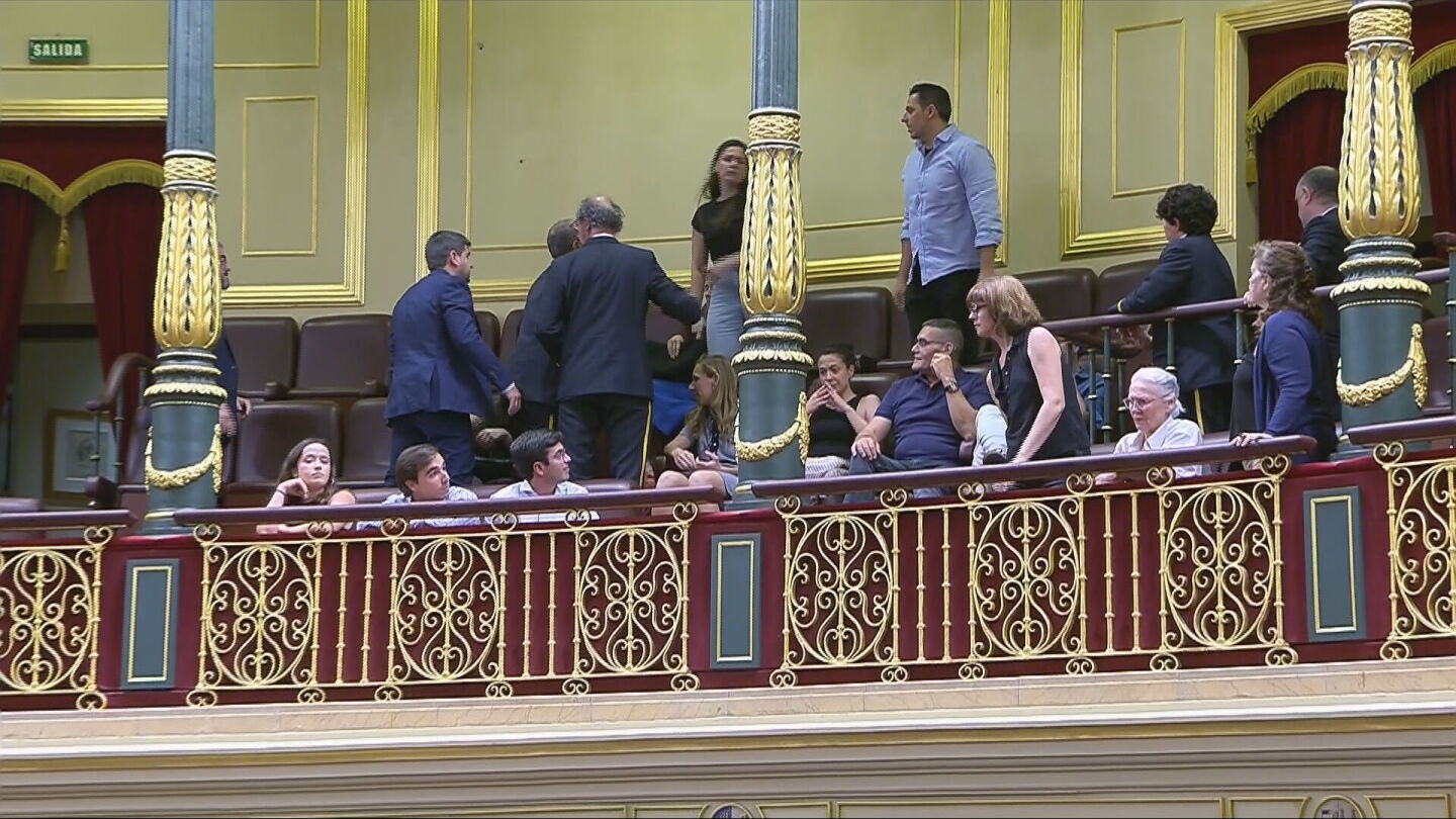 Irene Moreno en su protesta en el Congreso contra la derogación del decreto de la prórroga de los alquileres