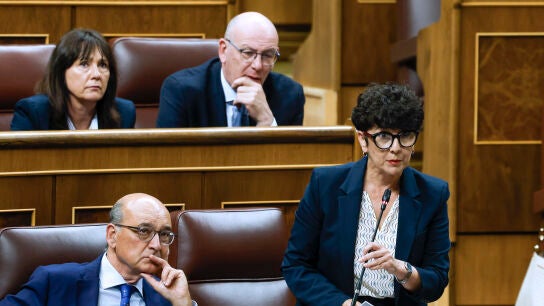 La portavoz del PNV, Maribel Vaquero, durante su intervenci&oacute;n en la sesi&oacute;n de control al Ejecutivo que se celebra este mi&eacute;rcoles en el Congreso.