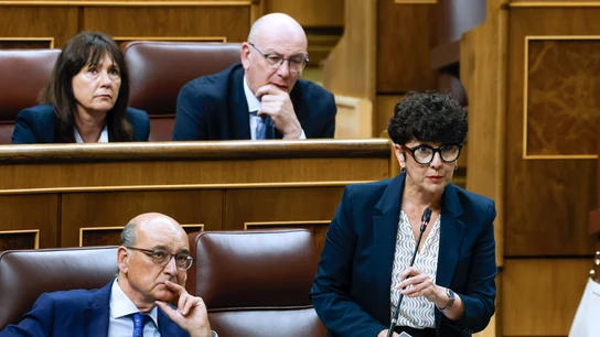La portavoz del PNV, Maribel Vaquero, durante su intervención en la sesión de control al Ejecutivo que se celebra este miércoles en el Congreso. La portavoz del PNV, Maribel Vaquero, durante su intervención en la sesión de control al Ejecutivo que se celebra este miércoles en el Congreso.