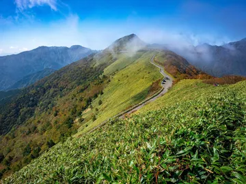 Carretera de montaña en Shikoku Carretera de montaña en Shikoku
