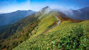 Carretera de monta&ntilde;a en Shikoku