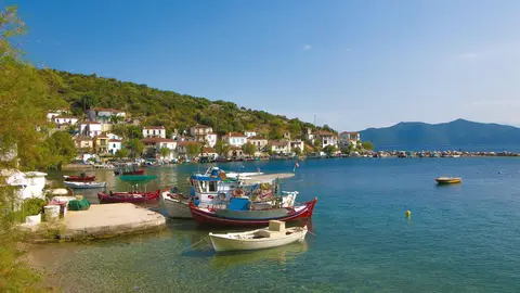 Pelion Pelion