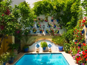Patios de Córdoba Patios de Córdoba
