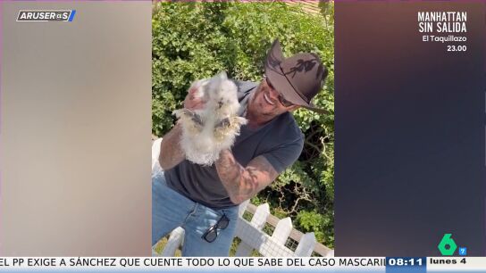 La reacci&oacute;n de David Beckham cuando su hija le regala gallinas sedosas por su 51 cumplea&ntilde;os