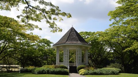 Singapore Botanic Gardens