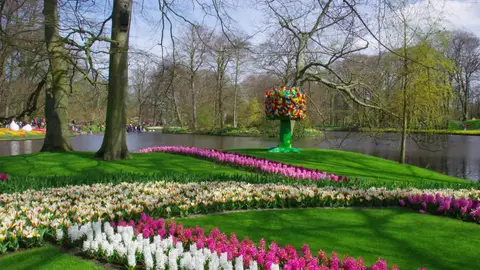 Keukenhof Keukenhof