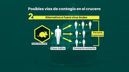 Opciones de contagio del hantavirus si se trata del virus 'Andes' Opciones de contagio del hantavirus si se trata del virus 'Andes'