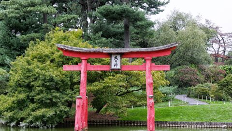 Brooklyn Botanic Gardens