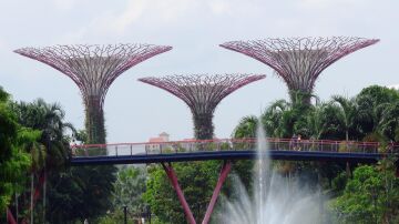 Gardens by the Bay, en Singapur