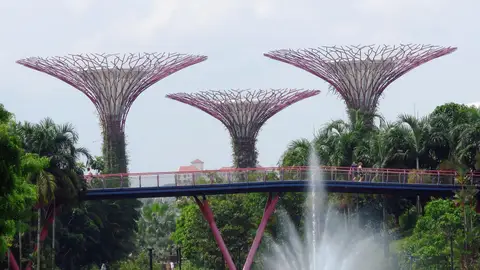Gardens by the Bay, en Singapur Gardens by the Bay, en Singapur