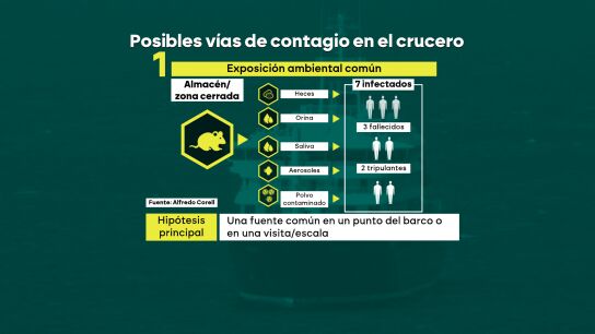 Posibles vías de contagio del hantavirus en el crucero