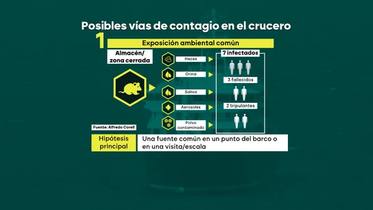 Posibles vías de contagio del hantavirus en el crucero Posibles vías de contagio del hantavirus en el crucero