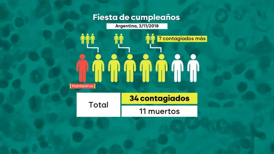 Una fiesta de cumpleaños, 34 contagiados y 11 muertos: así fue el último brote de la variante Andes de hantavirus en Argentina Una fiesta de cumpleaños, 34 contagiados y 11 muertos: así fue el último brote de la variante Andes de hantavirus en Argentina