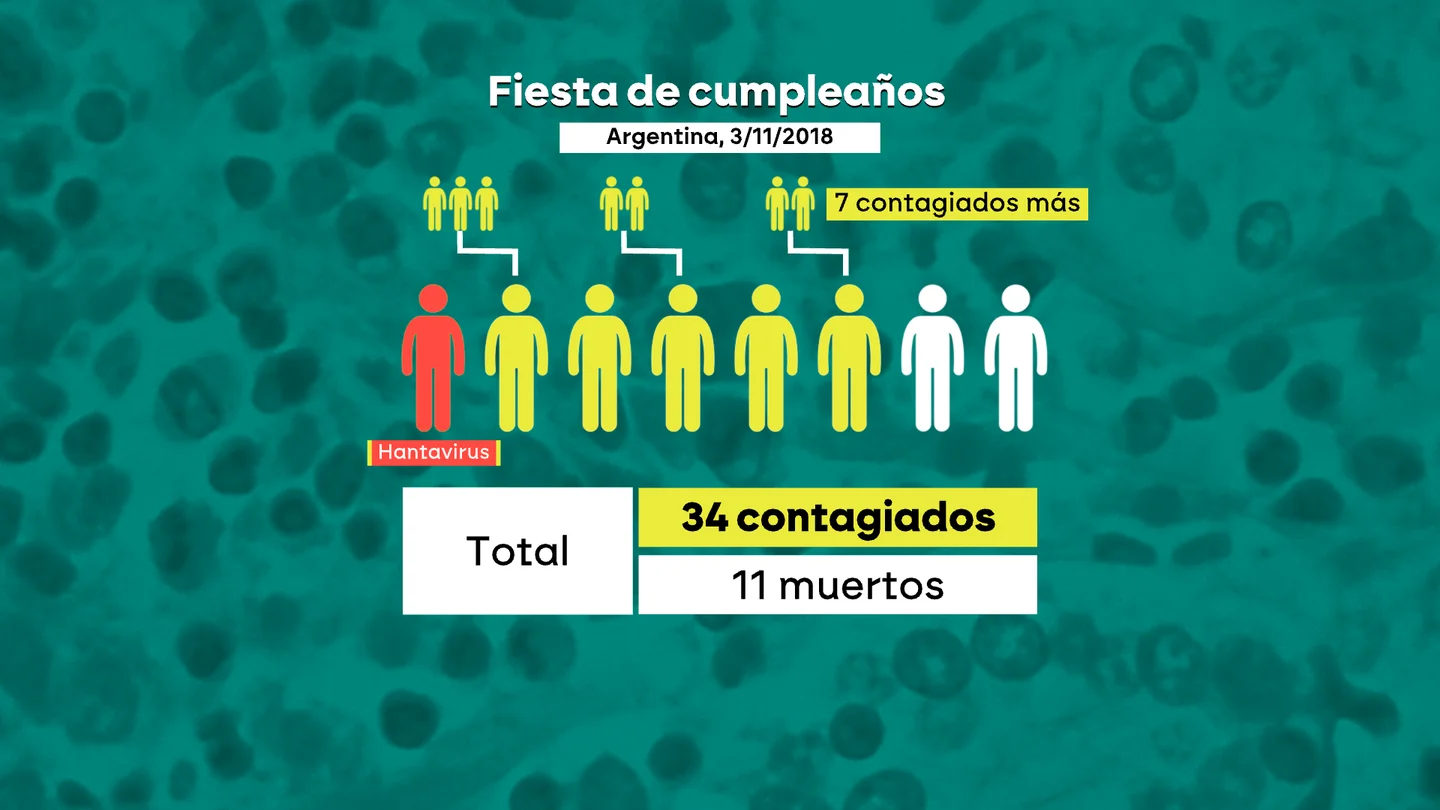 Una fiesta de cumpleaños, 34 contagiados y 11 muertos: así fue el último brote de la variante Andes de hantavirus en Argentina Una fiesta de cumpleaños, 34 contagiados y 11 muertos: así fue el último brote de la variante Andes de hantavirus en Argentina