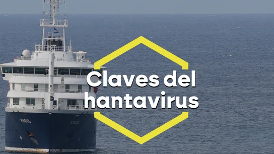Las claves del hantavirus Las claves del hantavirus