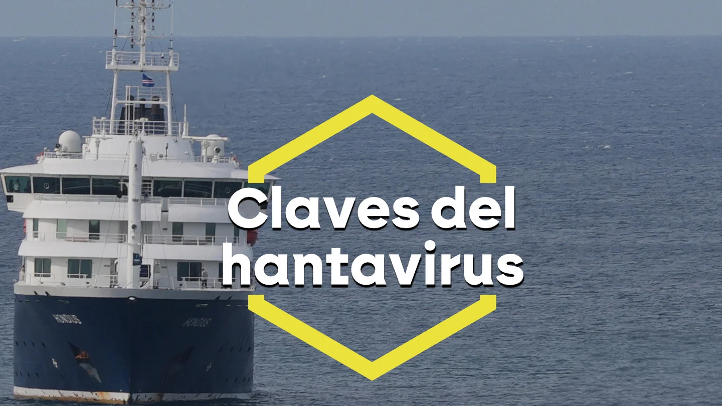 Las claves del hantavirus Las claves del hantavirus
