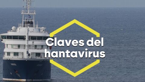 Las claves del hantavirus