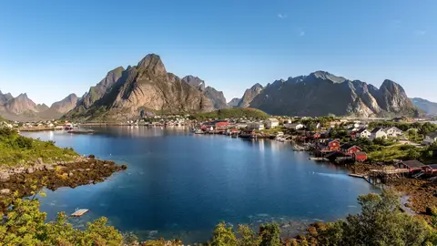 Reine Reine