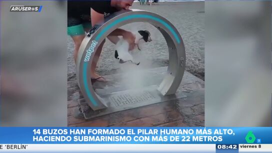 Las duchas para perros en playas, el nuevo invento que se hace viral: "Ya es una realidad en muchos lugares"