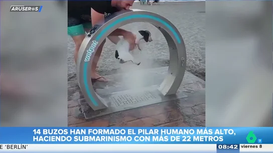 Las duchas para perros en playas, el nuevo invento que se hace viral: "Ya es una realidad en muchos lugares" Las duchas para perros en playas, el nuevo invento que se hace viral: "Ya es una realidad en muchos lugares"