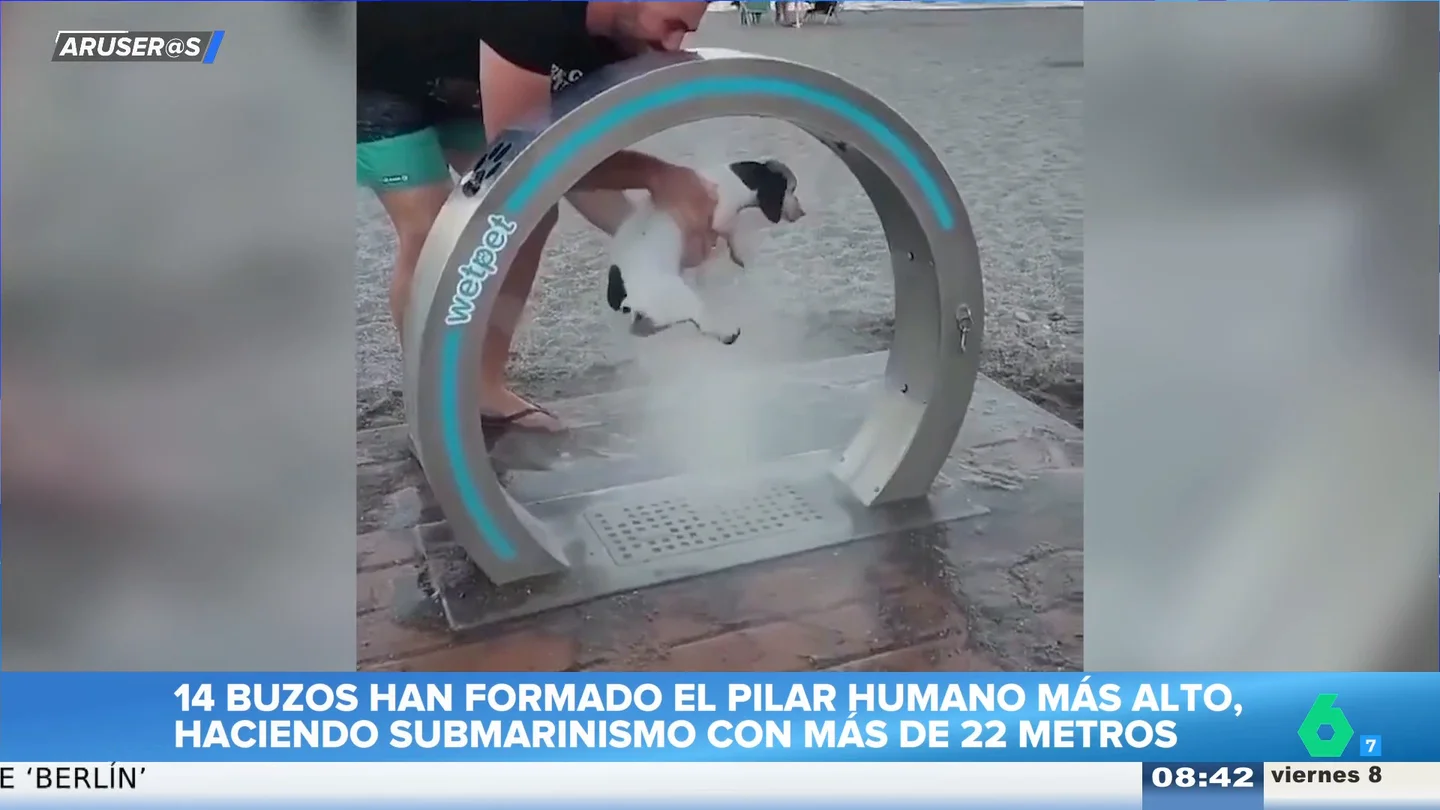 Las duchas para perros en playas, el nuevo invento que se hace viral: "Ya es una realidad en muchos lugares" Las duchas para perros en playas, el nuevo invento que se hace viral: "Ya es una realidad en muchos lugares"