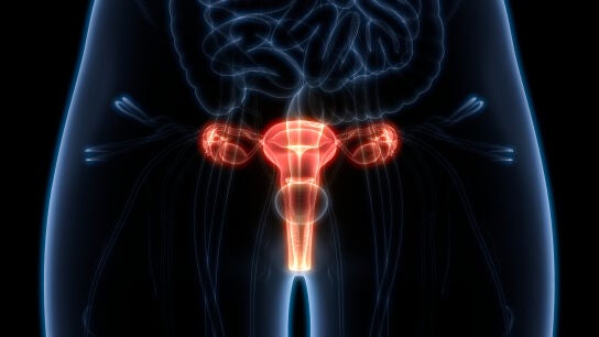 Sistema reproductor femenino