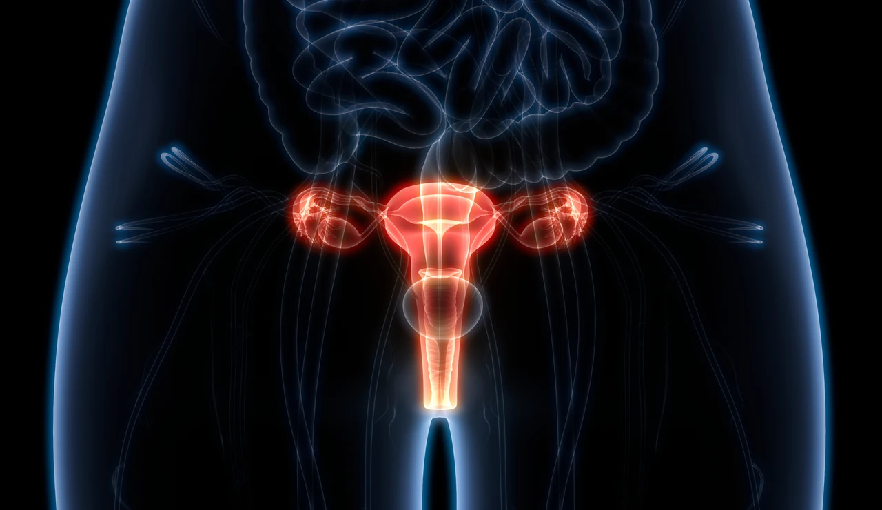 Sistema reproductor femenino