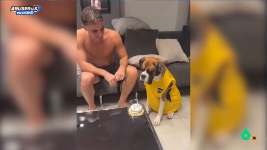 El divertido v&iacute;deo viral del perro que sopla la vela despu&eacute;s de que le canten 'Cumplea&ntilde;os feliz'