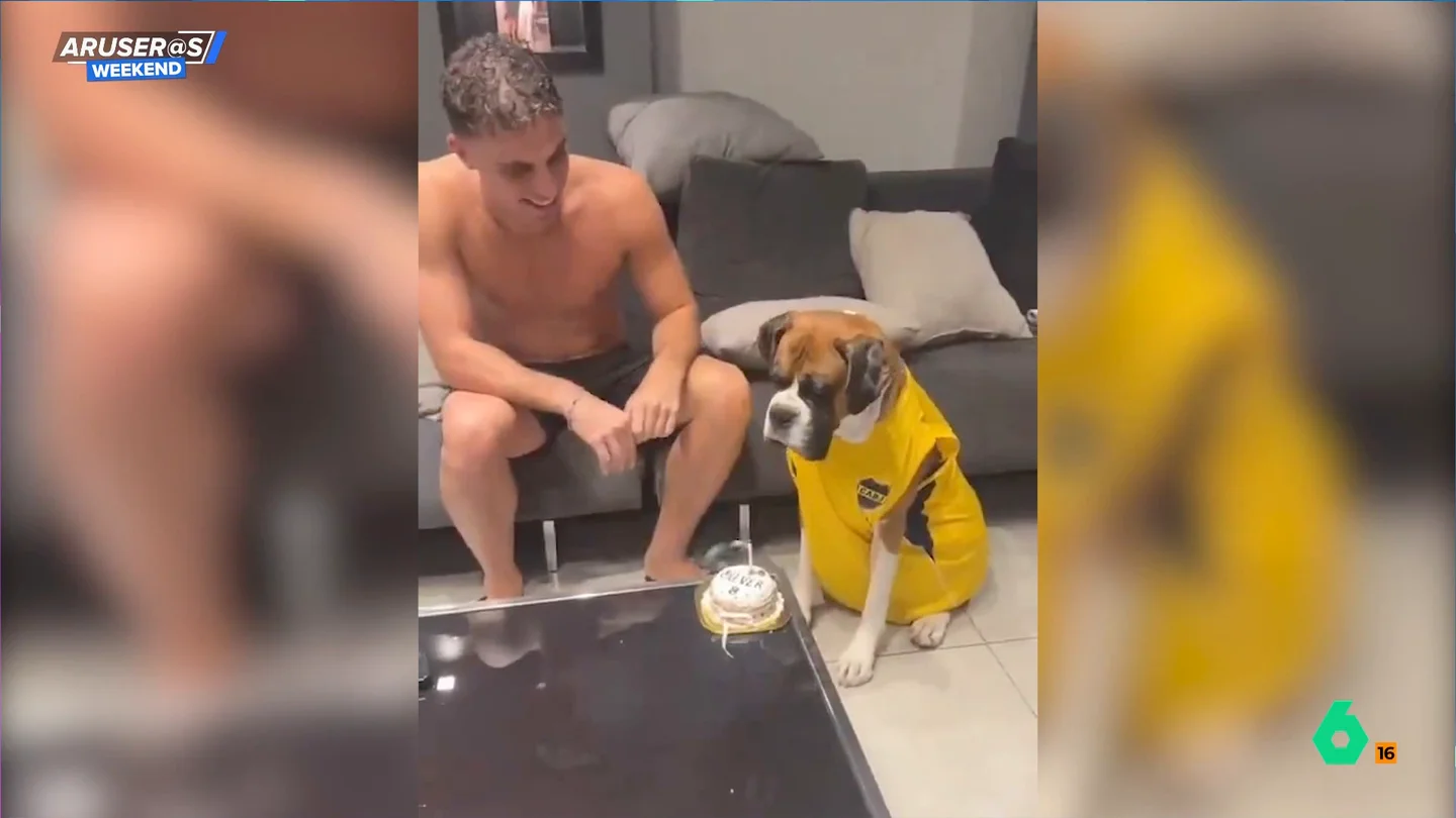 El divertido vídeo viral del perro que sopla la vela después de que le canten 'Cumpleaños feliz' El divertido vídeo viral del perro que sopla la vela después de que le canten 'Cumpleaños feliz'