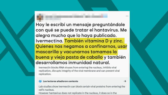 Los bulos del hantavirus: ni Pfizer ha presentado los resultados de una vacuna ni se puede tratar con vitamina D