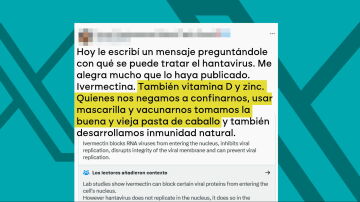 Los bulos del hantavirus: ni Pfizer ha presentado los resultados de una vacuna ni se puede tratar con vitamina D