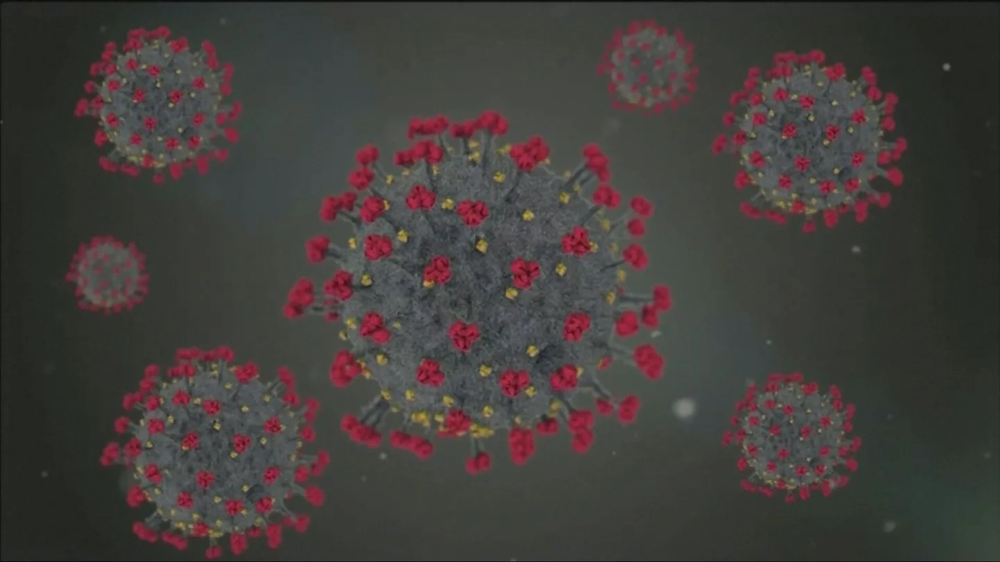 Cepa de un virus Cepa de un virus