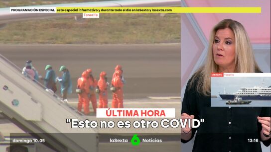 Graziella Almendral tranquiliza sobre el hantavirus: "Hemos visto sus entra&ntilde;as y sigue siendo el mismo, no ha evolucionado"