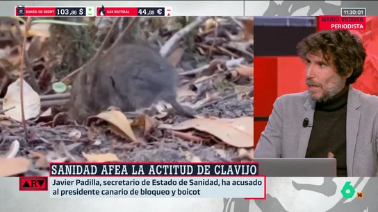 M. Viciosa M. Viciosa