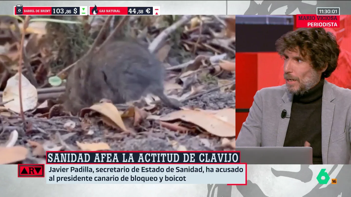 M. Viciosa M. Viciosa